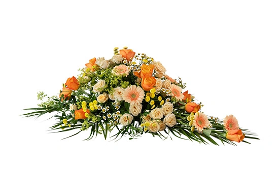 Super-Complex-Clipping-Path-Service_After